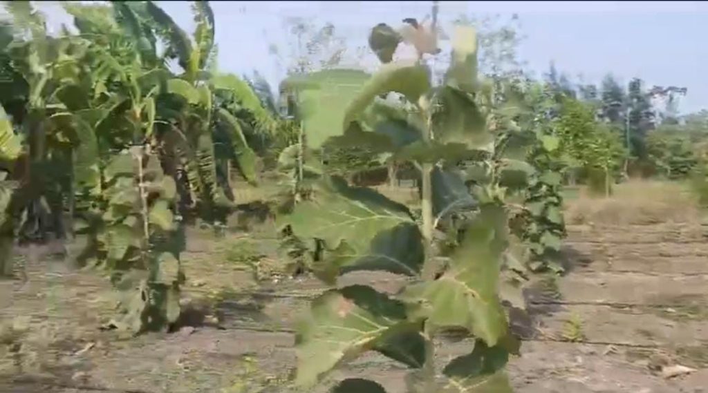 WhatsApp Image 2024-07-12 at 8.47.48 PM