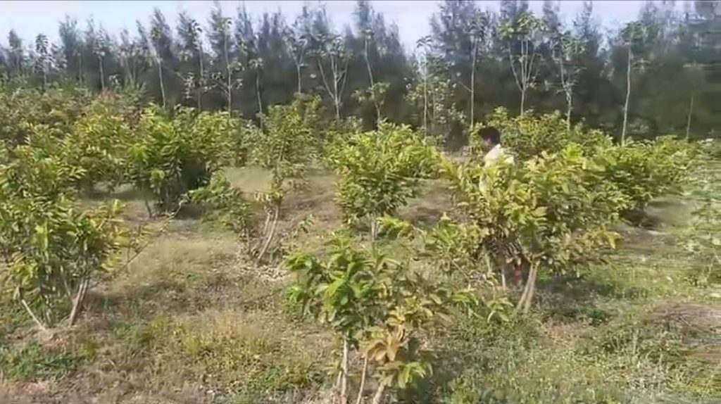 WhatsApp Image 2024-07-12 at 8.53.56 PM